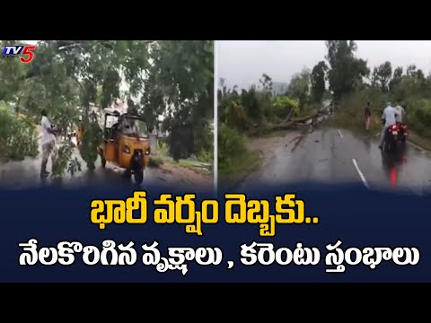 నేలకొరిగిన కరెంటు స్తంభాలు  Uprooted Trees And Electricity Poles At Parvathipuram Manyam | TV5 - TV5NEWS
