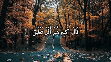 راحه نفسيه🖤🔥|مقاطع قرآن قصيره| استوريات انستا قرآن | تلاوه خاشعه |ستوريات قرآن إنما أشكو بثي وحزني