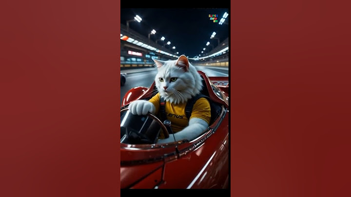 This Cat's RACING Skills Left Luxury Dogs SPEECHLESS! 🐱🐶 #shorts #funny #cat #dog #story