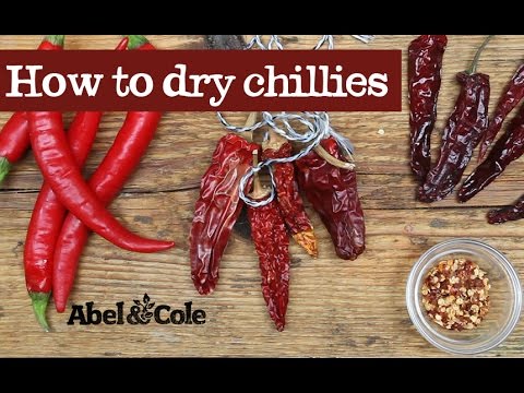 dry chillies