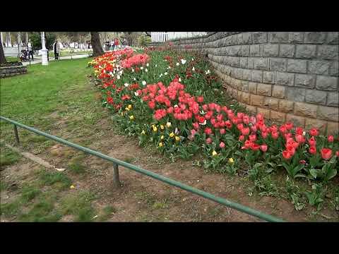 Fenerbahçe Parkı