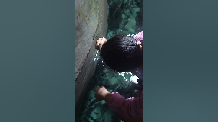 重庆巫溪一老人挖出“神奇鱼泉”，鱼儿自动从泉眼里面涌出，最多一天能涌出500多斤，这情景真是令人无法想象 - 天天要闻