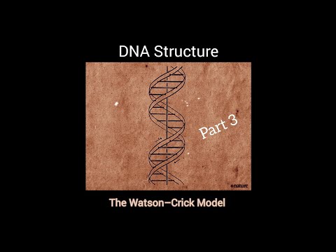 كروموسوم.Chromosome