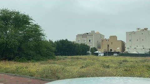 سورة ق الآيات 9 - 11 | أسامة الشطي