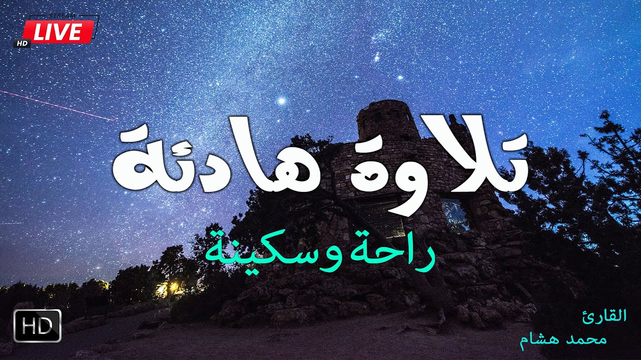 تلاوة هادئة قبل النوم❤️ تساعدك على راحة البال💞 بصوت القارئ محمد هشام Quiet Recitation