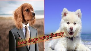 Baby Dogs- cute and funny dog videos compilation #3 | Aww Animals