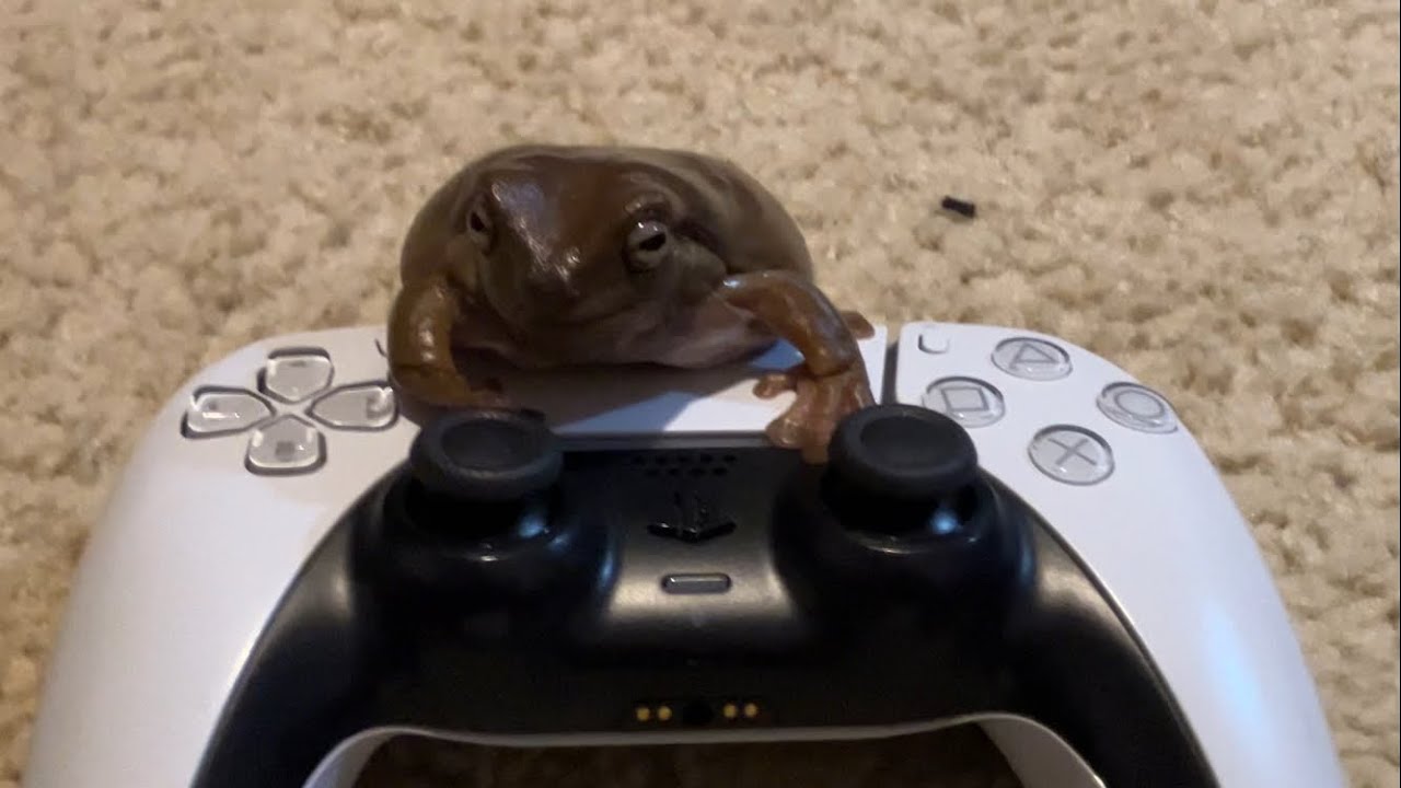 How To Take A Frog Off a PS5 Controller