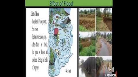 STD : 6  SUB : SCIENCE LS.NO 4 DISASTER MANAGEMENT PART 1