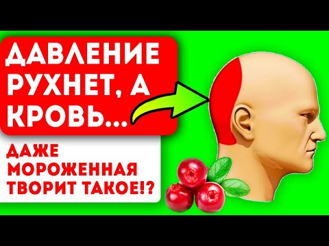 Доктор: Только при гипертонии! Ни в коем случае при пониженном давлении! Клюква, давление и кровь