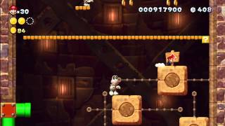 Layer-Cake Desert - Stoneslide Tower [New Super Mario Bros Wii U]