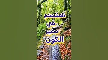 تلاوة خاشعة | القرآن الكريم