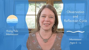 Observation and Reflection Cycle