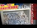 【ゴミ屋敷清掃】交通事故で入院…保険証・通帳・印鑑が見つからない！兄が15年住んだ家の回収をしました！#大掃除 #ゴミ屋敷 ＃パートナーズ