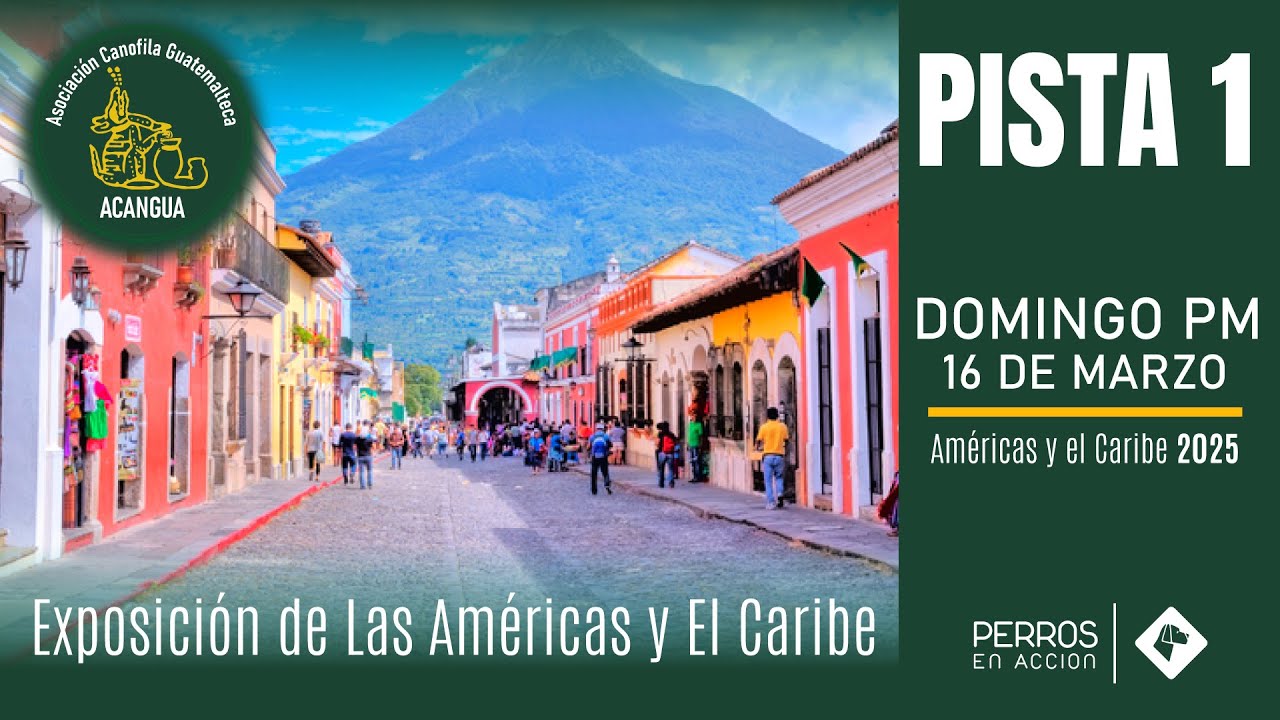 PISTA 1  de la Exposición de Las Américas y El Caribe - Domingo p.m