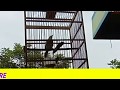 Di Jamin Anti Gagal Pancing Trucukan Macet Bunyi Coba Dua Menit Langsung Ropel Mp3 - Mp4 Download