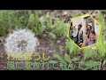 「わたぼうし 風に吹かれて飛んでった」(6月18日放送分)