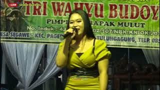 Selendang Biru TRI WAHYU BUDOYO - PANDOWO AUDIO - SEGAWE PAGERWOJO