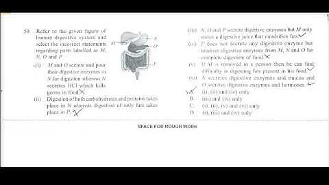 ANSWER KEY OF NSO CLASS 7 SET B(Q.no-46-50)