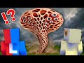 【集合体恐怖症の台風⁉️🌪️】トライフォビアトルネードに襲われるマインクラフト😨【マイクラ まいくら】ぽっぴんず