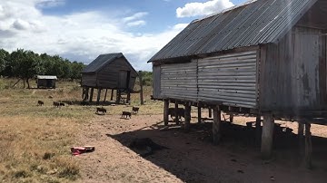 Ngôi Làng Vẫn Giữ Ngôi nhà Sàn Truyền Thống Của Người Jrai | Ya lâu Chư Prong |