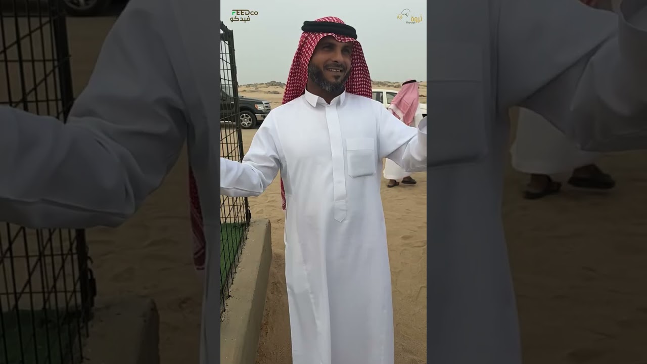 ملتقى الماعز البيشي الابرص بنسخته الرابعه