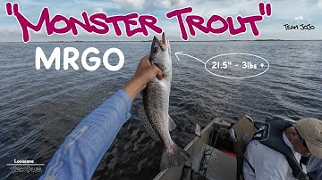 "Monster Trout" MRGO - Louisiana Inshore Fishing