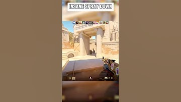 CS2 CRAZIEST SPRAY TRANSFER YOU WILL SEE