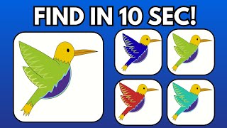 Find the Same bird in 10 Second ! screenshot 3