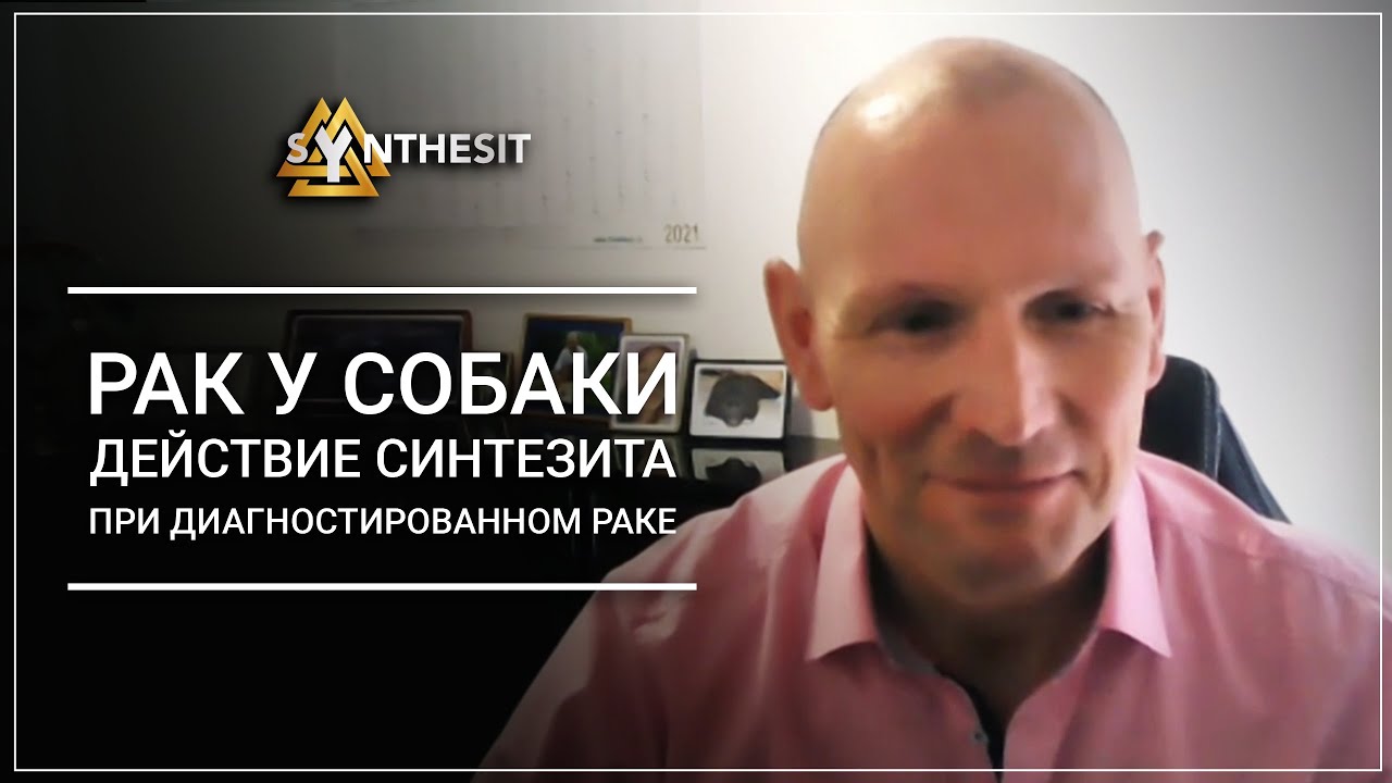Синтезит против рака кожи у собаки. Действие Синтезита при ...