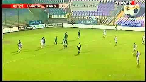 Hollandia-Magyarország Összefoglaló