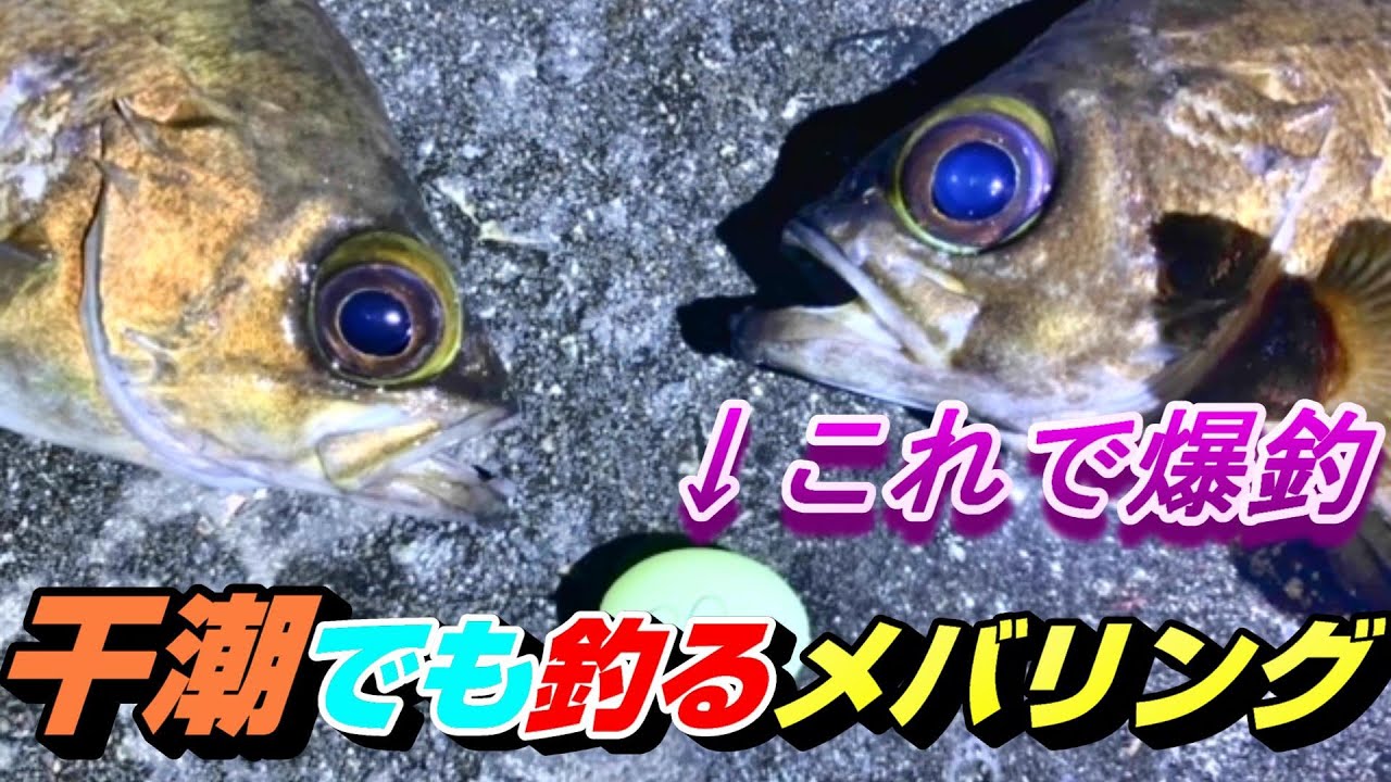 干潮 だけど釣りたい Fシステムで良型メバル連発 富山ホタルイカパターンで狙うメバリング フロートリグはアジングにも使えるよ Youtube