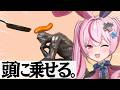 【ソーセージについての奇妙なゲーム】あらゆる所にソーセージを乗せてみたいんだよね【#とまライブ】