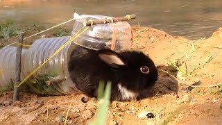 How To Install Rabbit Trap