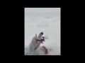 рџђњZAYDE WOLF COLD BLOODED Slowed And Reverb Ander Edit рџђњ рџђњZAYDE WOLF COLD BLOODED Slowed And Reverb Ander Edit рџђњ