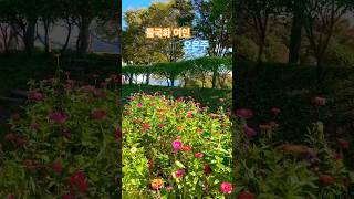 들국화여인#오은주#트로트 #트롯 #박진석 #국내여행 #정의송#travel