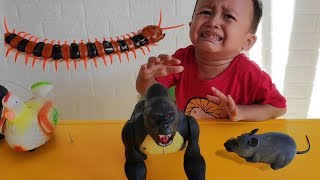 Mainan Gorilla, Tikus, Ayam Betina & Kelabang - Yahh Gavin Nangis Lagi...