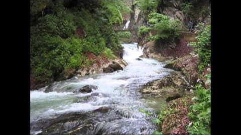 KneToNatoR - Fear In The Darkness