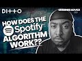 How does the Spotify Algorithm work? Streaming Hacks for Musicians | Ditto Music