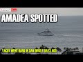 Dark Amadea Spotted After 8 Days 'On the Run' | SY Breaking News