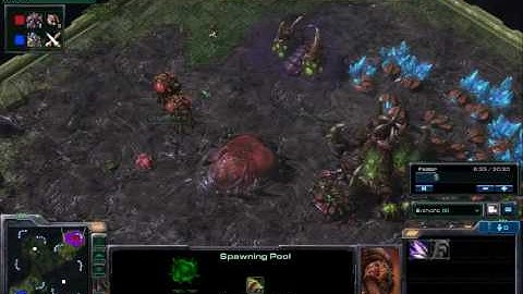 Starcraft 2 Protoss vs Zerg game (1/2)