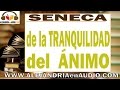 De la tranquilidad del ánimo - Séneca |ALEJANDRIAenAUDIO