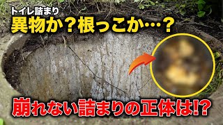 急にトイレが詰まった！２年前から住みはじめたお宅！外桝はガンガンに詰まってる？【花のお掃除 #417】
