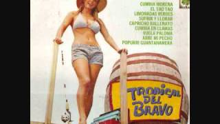 Video thumbnail of "TROPICAL DEL BRAVO PEQUENA Y FRAGIL LP COMPLETO"