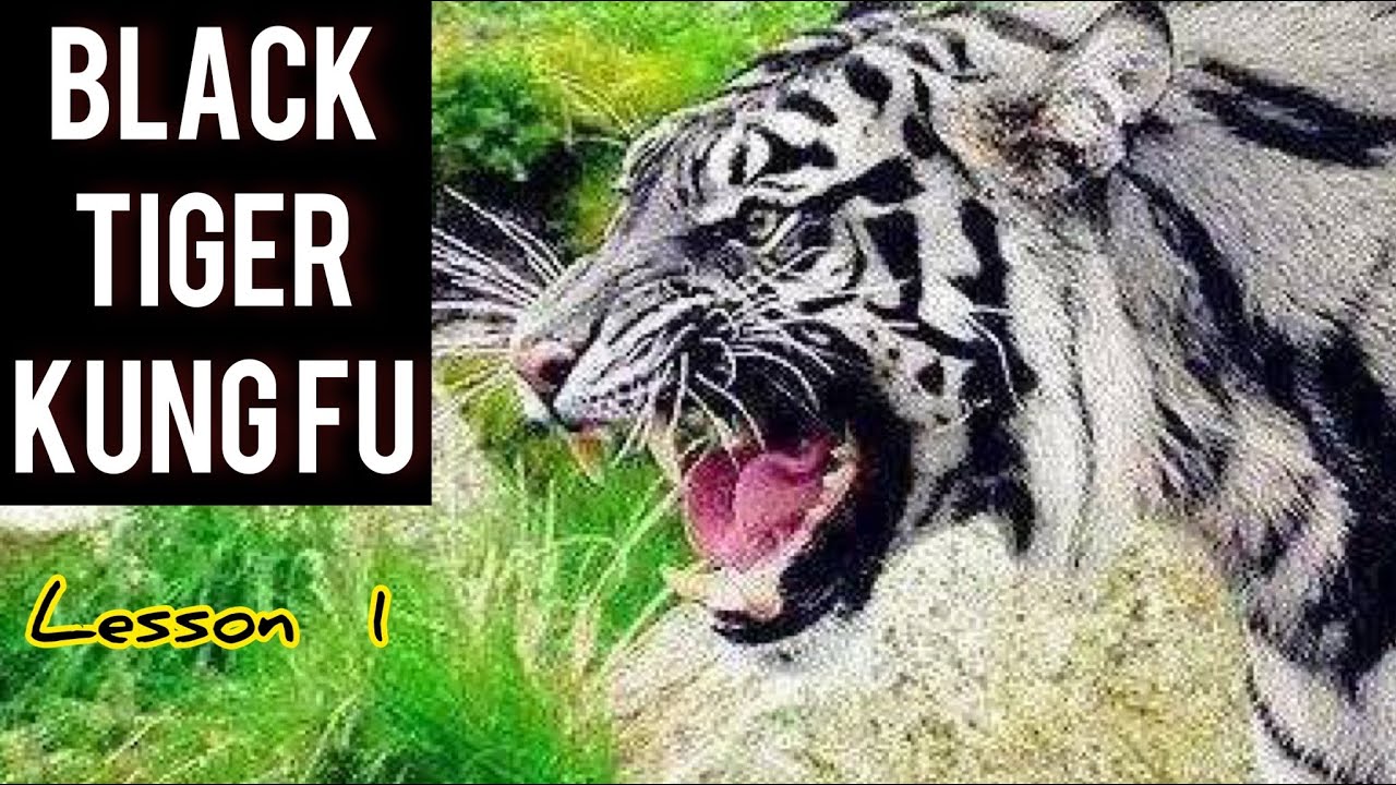 Black tiger Kung fu for beginners lesson 1 / step by step tutorial ...