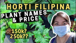 HORTI FILIPINA TOUR 🍀 with Plant Names &amp; Price | RARE PLANTS in the Philippines