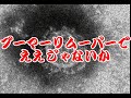【ほぼ日P】ブーマーリムーバーでええじゃないか【初音ミク】