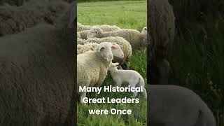 Nurturing the Flock, Guiding the Nation, The Story of Shepherds