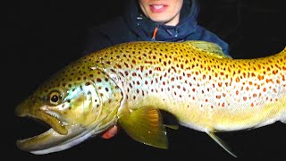 Fly Fishing AGGRESSIVE TROUT at NIGHT! (MOUSING) by Chiefz 13,173 views 1 year ago 8 minutes, 13 seconds