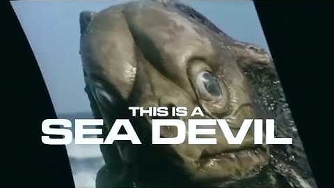 The STG Soundlabs Sea Devils Filter