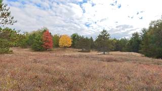 Peak Fall Colors ATV Ride | 10 Min Relaxing Piano & Guitar | Michigan's UP 4K
